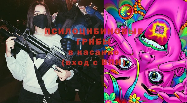 spice Абаза